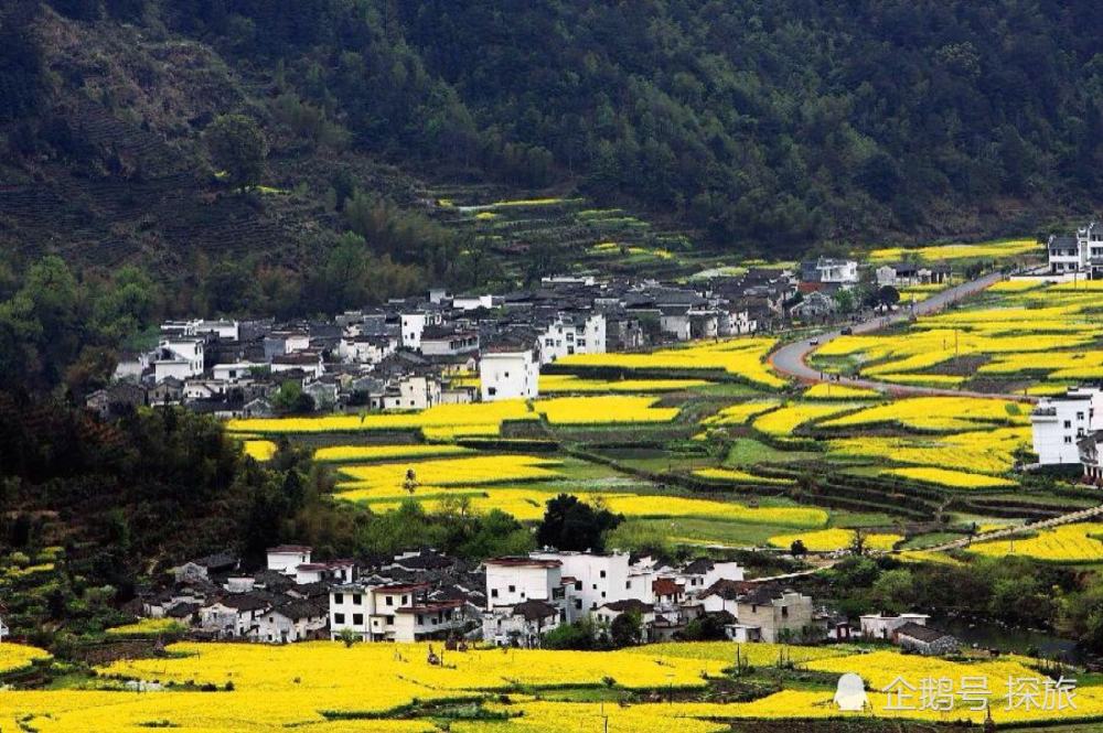 江西，情牵第二故乡的江西情怀