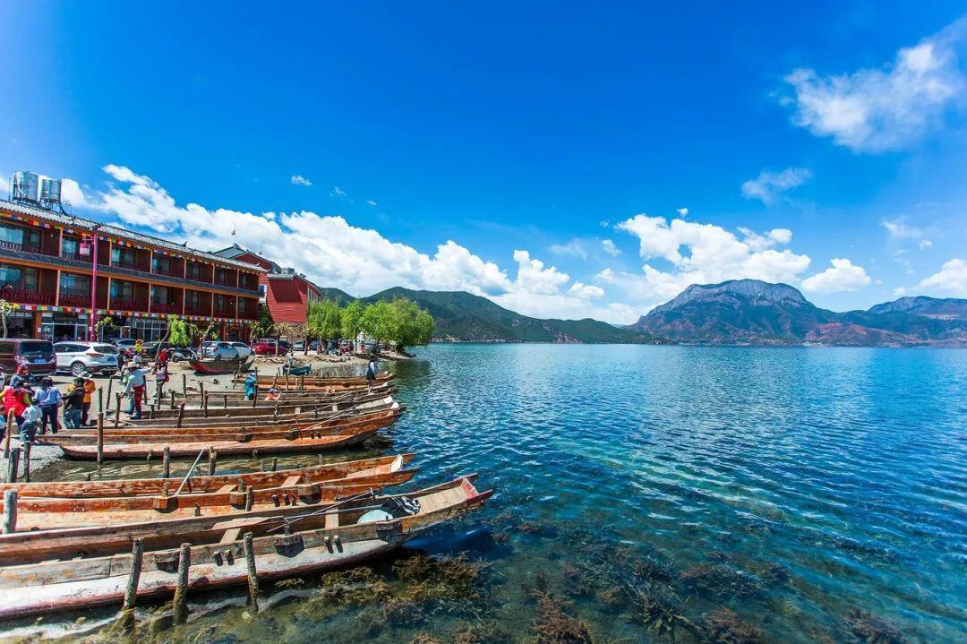 云南阳光下的温暖陪伴