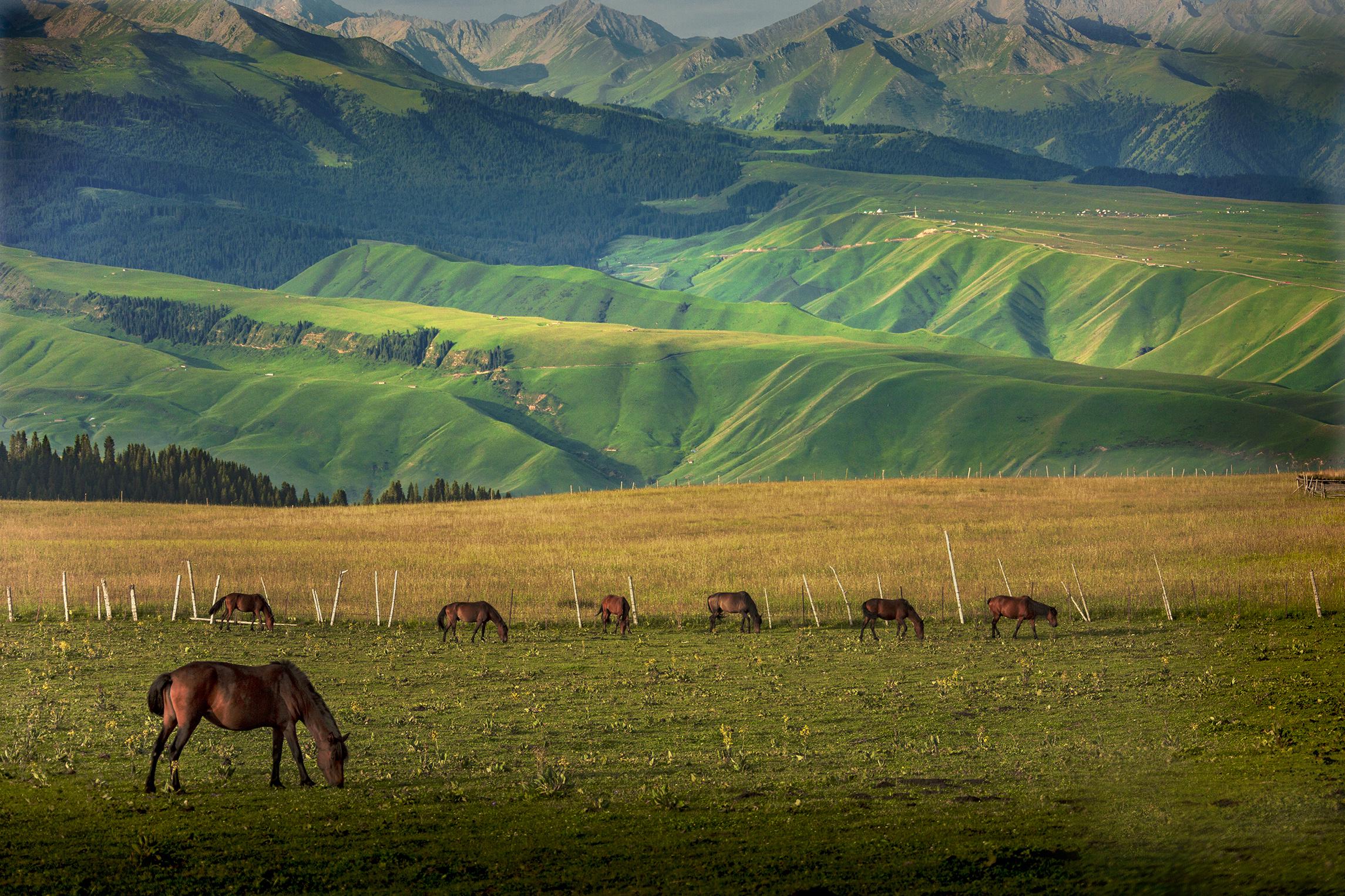 丝路花雨中的西域边陲，新疆印象之旅